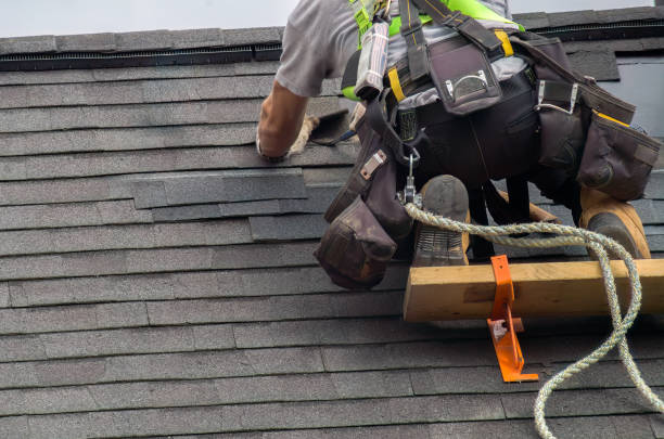 Best Storm Damage Roof Repair  in Camp Point, IL