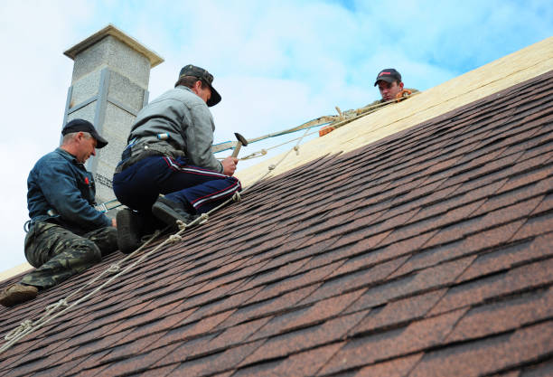 Best Roof Gutter Cleaning  in Camp Point, IL