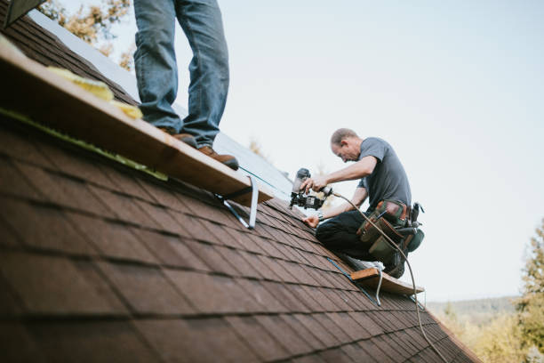 Best Roof Waterproofing Services  in Camp Point, IL