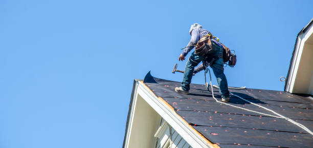 Best Metal Roofing Contractor  in Camp Point, IL